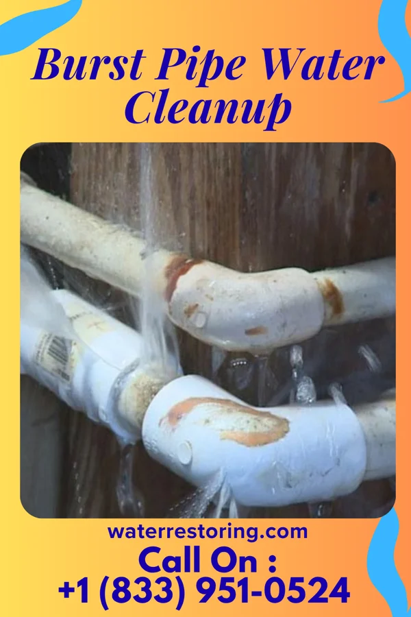 Burst Pipe Water Cleanup in Winfield, TN