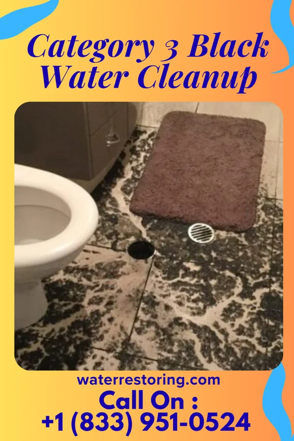 Category 3 Black Water Cleanup in Winfield, TN