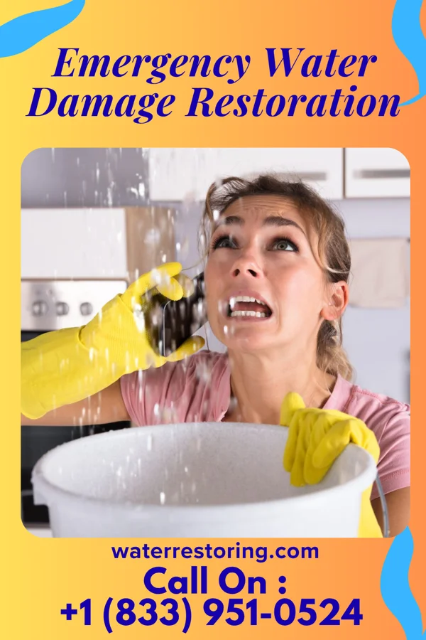 Emergency Water Damage Restoration in Winfield, TN