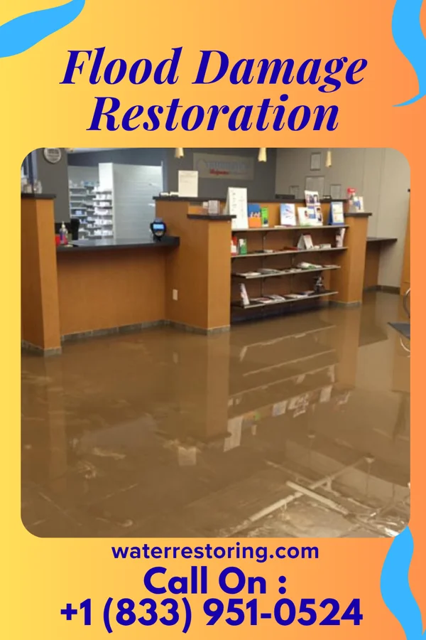 Flood Damage Restoration in Winfield, TN