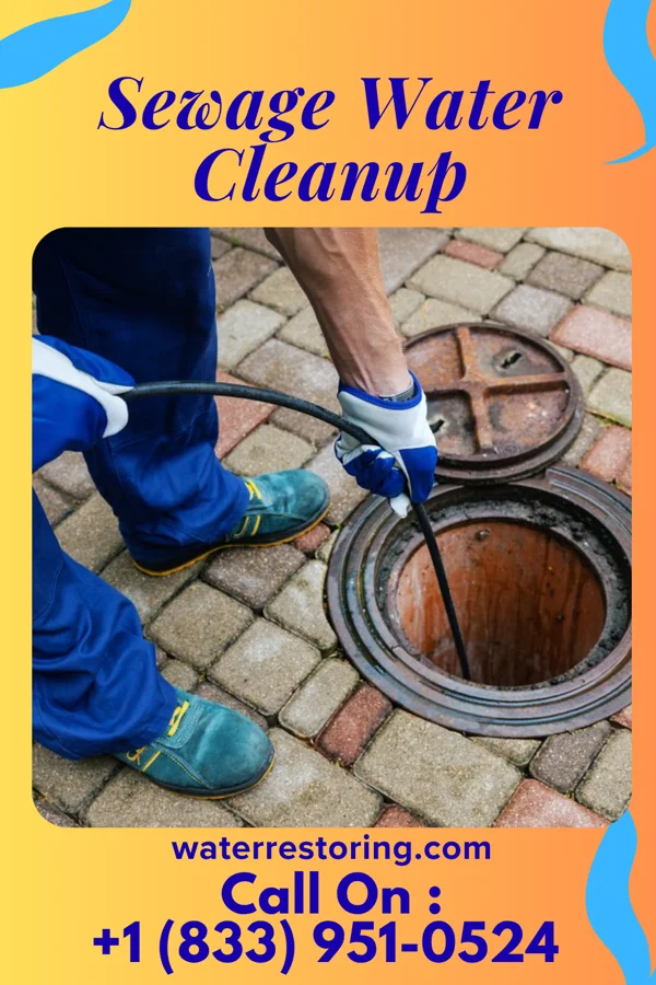 Sewage Water Cleanup in Winfield, TN